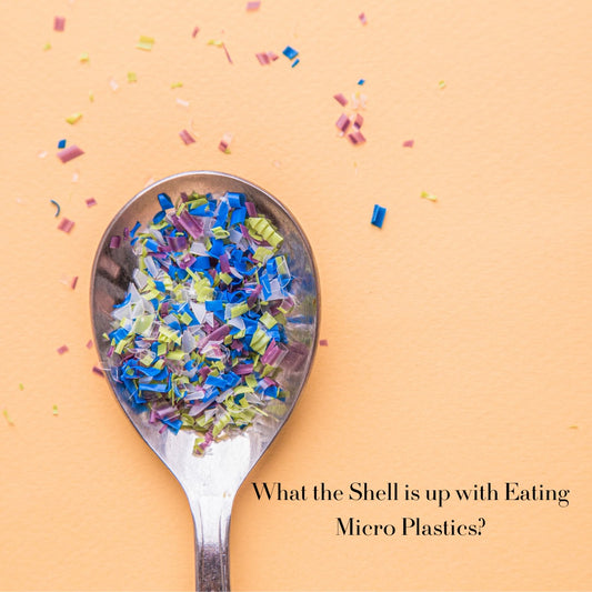 What the Shell Is Up With Eating Plastic?